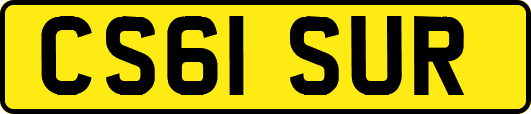 CS61SUR