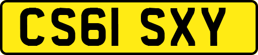 CS61SXY