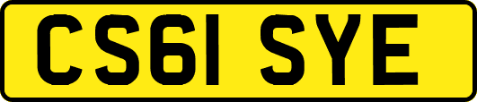 CS61SYE