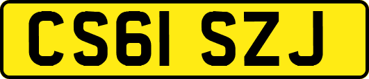 CS61SZJ
