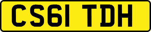 CS61TDH