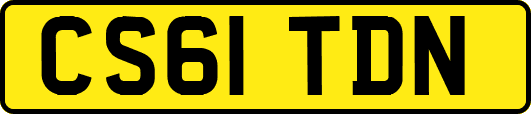 CS61TDN