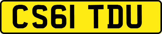 CS61TDU