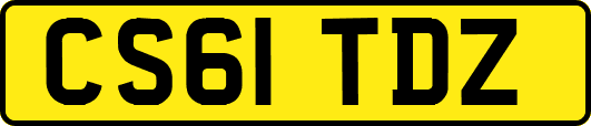CS61TDZ