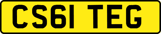 CS61TEG