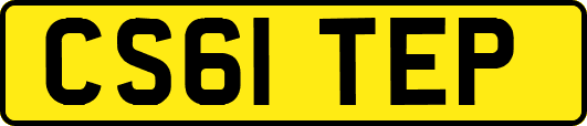 CS61TEP