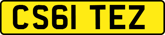 CS61TEZ
