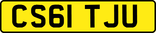 CS61TJU