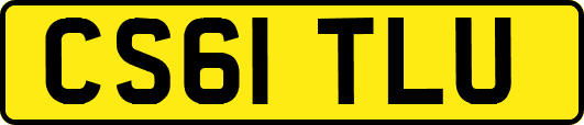 CS61TLU