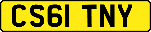 CS61TNY