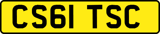 CS61TSC