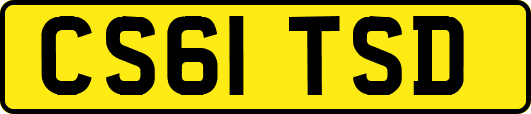 CS61TSD