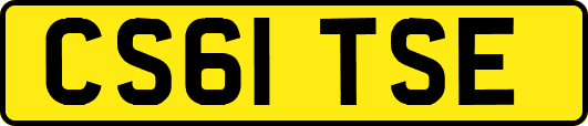 CS61TSE