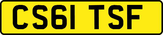 CS61TSF