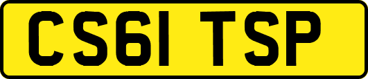 CS61TSP