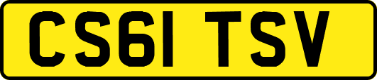 CS61TSV