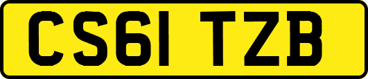 CS61TZB