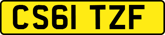 CS61TZF