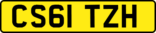 CS61TZH