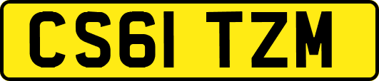 CS61TZM