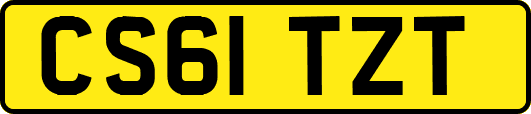 CS61TZT