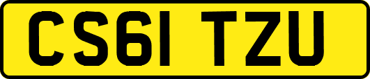 CS61TZU