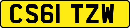 CS61TZW
