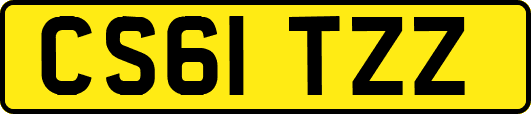 CS61TZZ