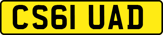 CS61UAD