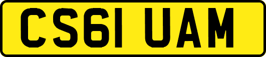 CS61UAM