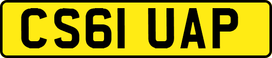 CS61UAP