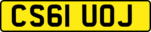 CS61UOJ