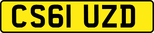 CS61UZD