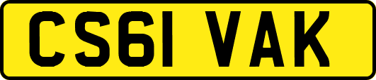 CS61VAK