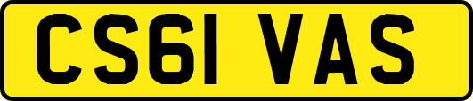 CS61VAS