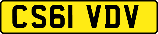 CS61VDV
