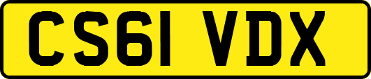 CS61VDX