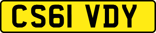 CS61VDY