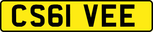 CS61VEE