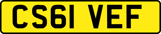 CS61VEF