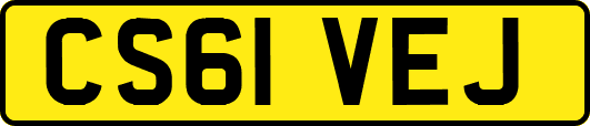 CS61VEJ