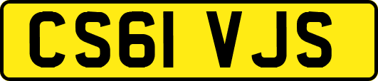 CS61VJS