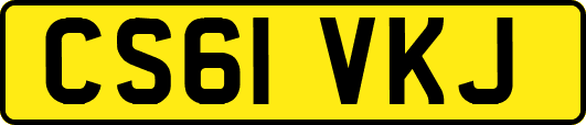 CS61VKJ