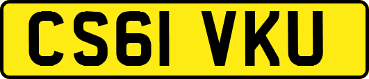 CS61VKU