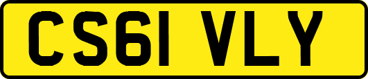 CS61VLY