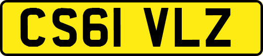 CS61VLZ