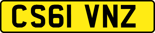 CS61VNZ