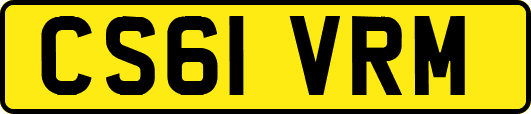 CS61VRM