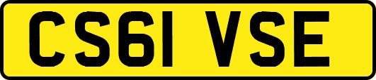 CS61VSE