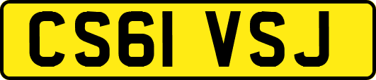CS61VSJ